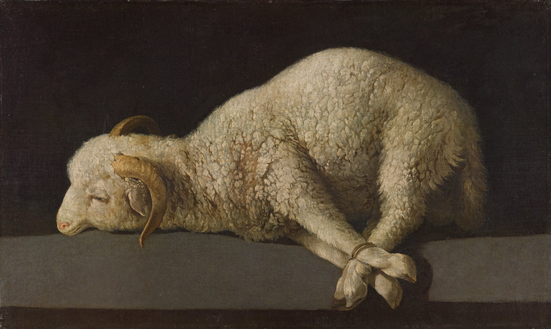 AGNUS